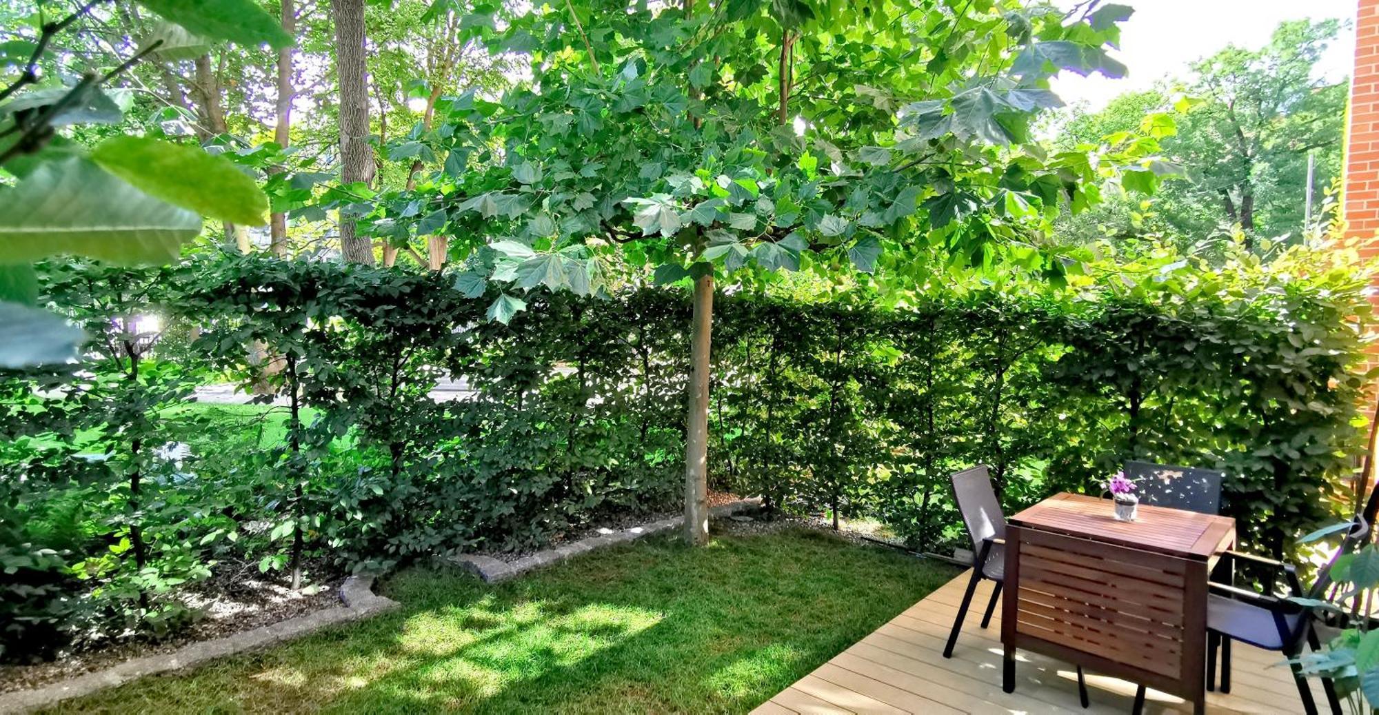 City Garden Lägenhet Wrocław Exteriör bild